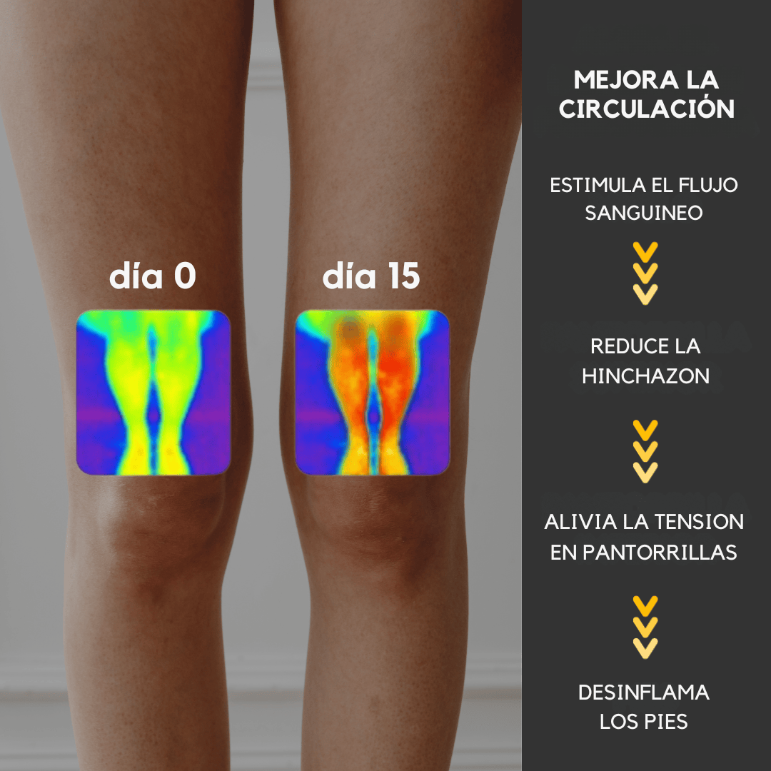 Leggy 3.0 Metuvi®